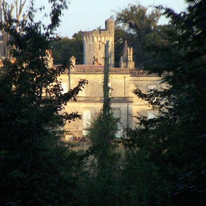 Photo de Château de Virelade