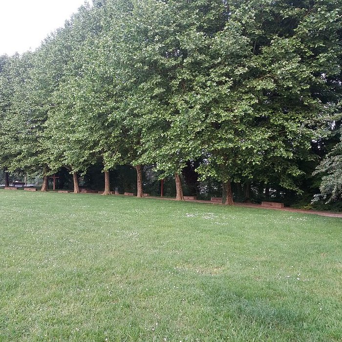 Photo de Église ou chapelle Notre-Dame de la Miséricorde