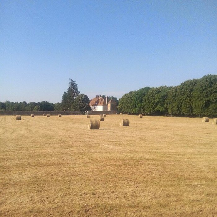 Photo de Château de Pennesuyt, dit aussi château de Loëze