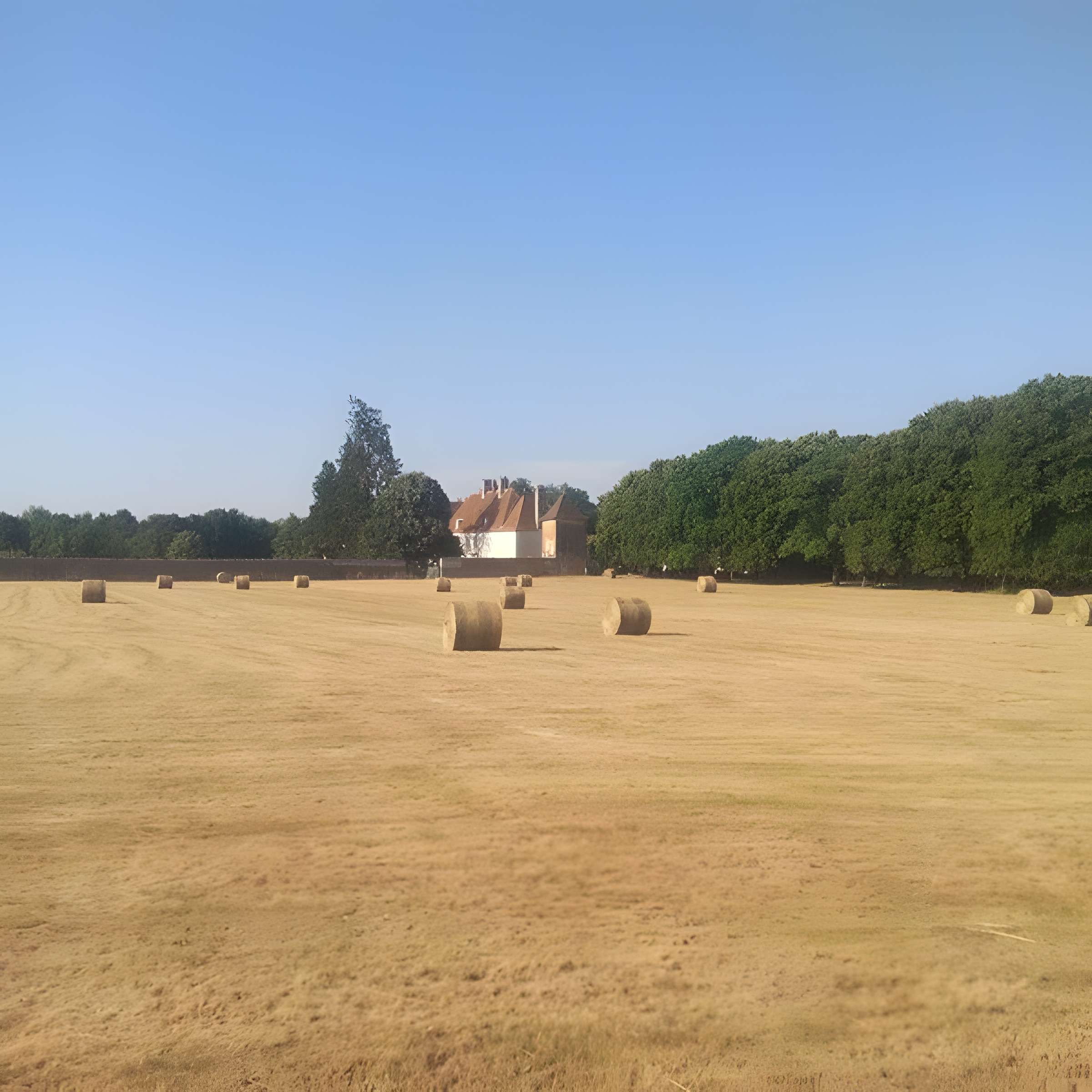 Château de Pennesuyt, dit aussi château de Loëze