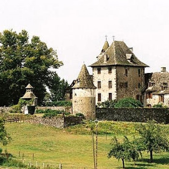 Photo de Château de Vixouse