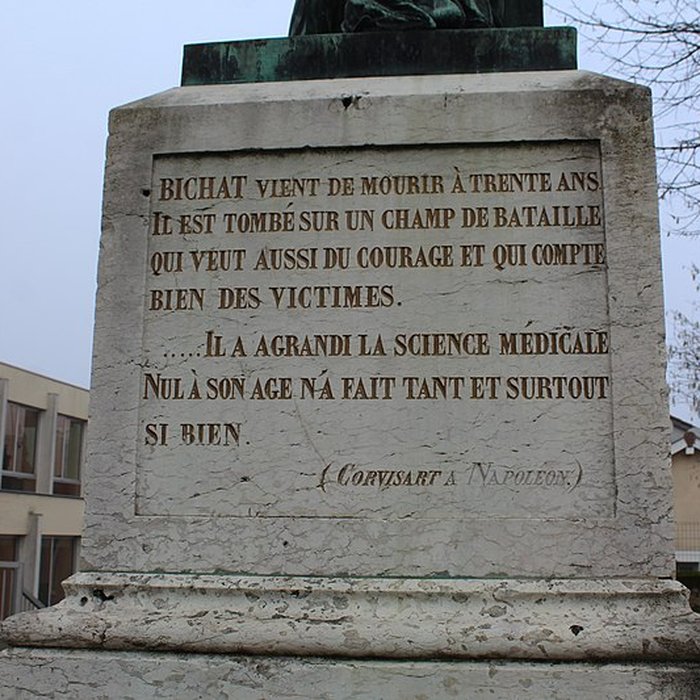 Photo de Statue de Bichat