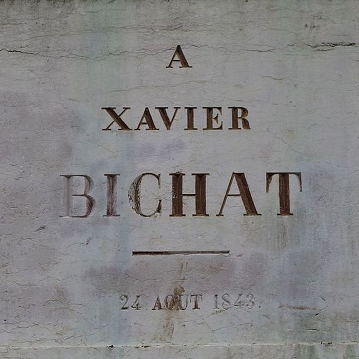 Photo de Statue de Bichat