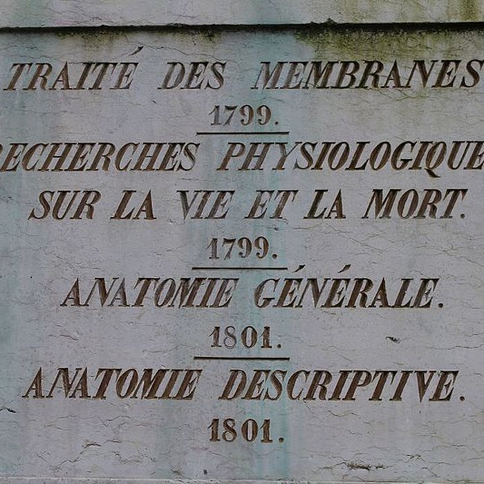 Photo de Statue de Bichat