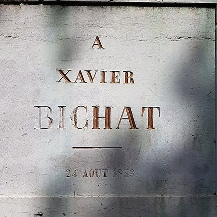 Photo de Statue de Bichat