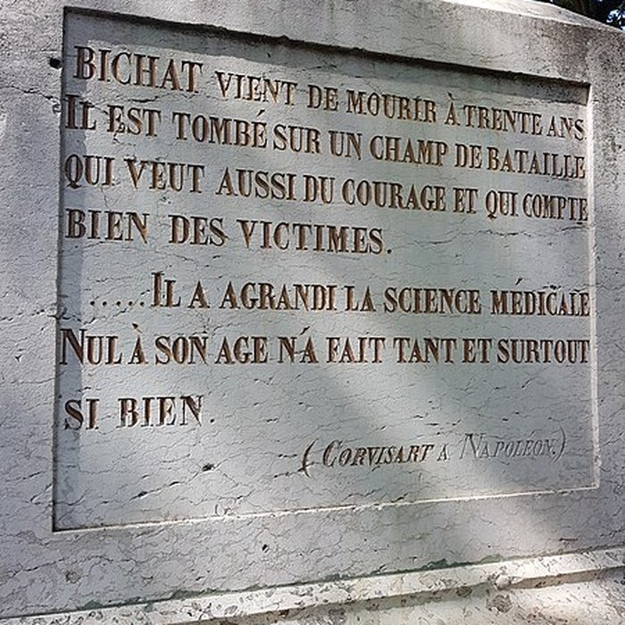 Photo de Statue de Bichat