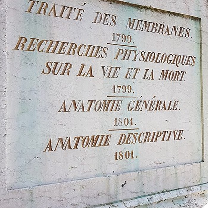 Photo de Statue de Bichat