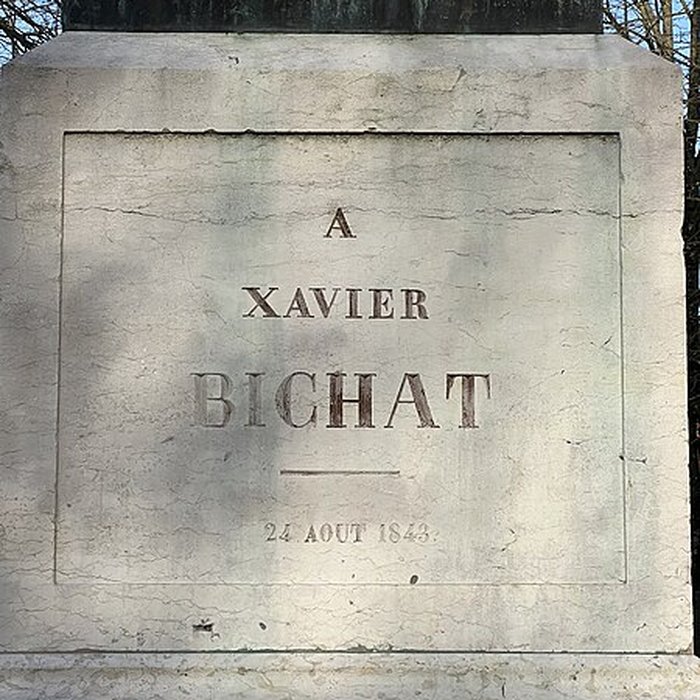 Photo de Statue de Bichat