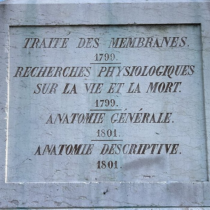Photo de Statue de Bichat