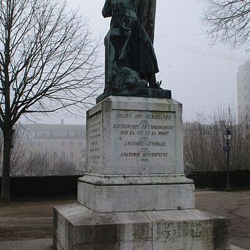 Statue de Bichat