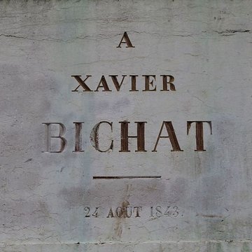 Statue de Bichat