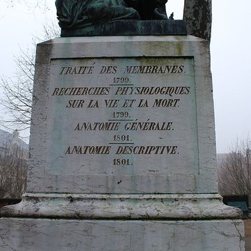 Statue de Bichat