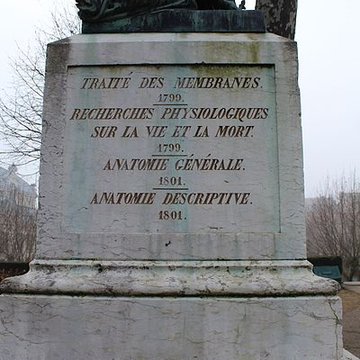 Statue de Bichat