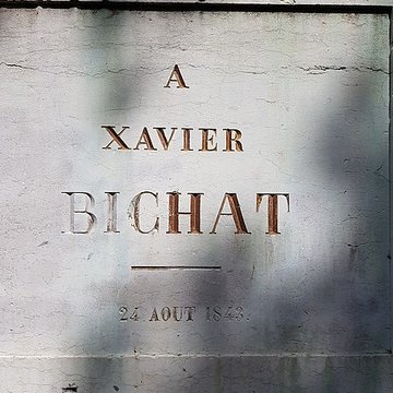 Statue de Bichat