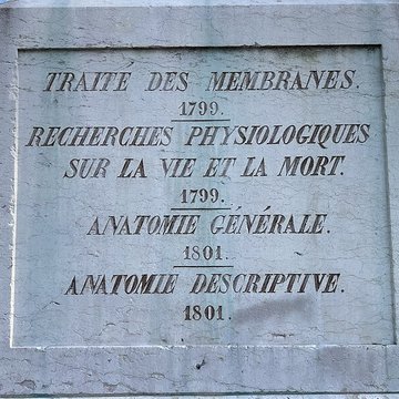 Statue de Bichat