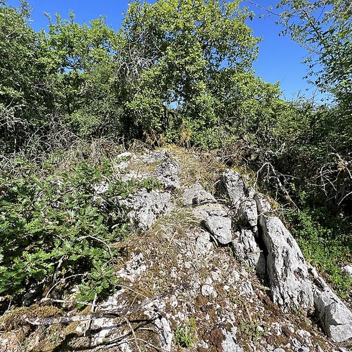 Photo de Camp préhistorique des Portes