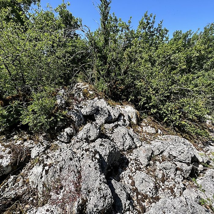 Photo de Camp préhistorique des Portes
