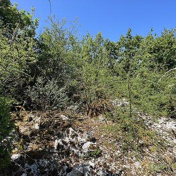 Camp préhistorique des Portes