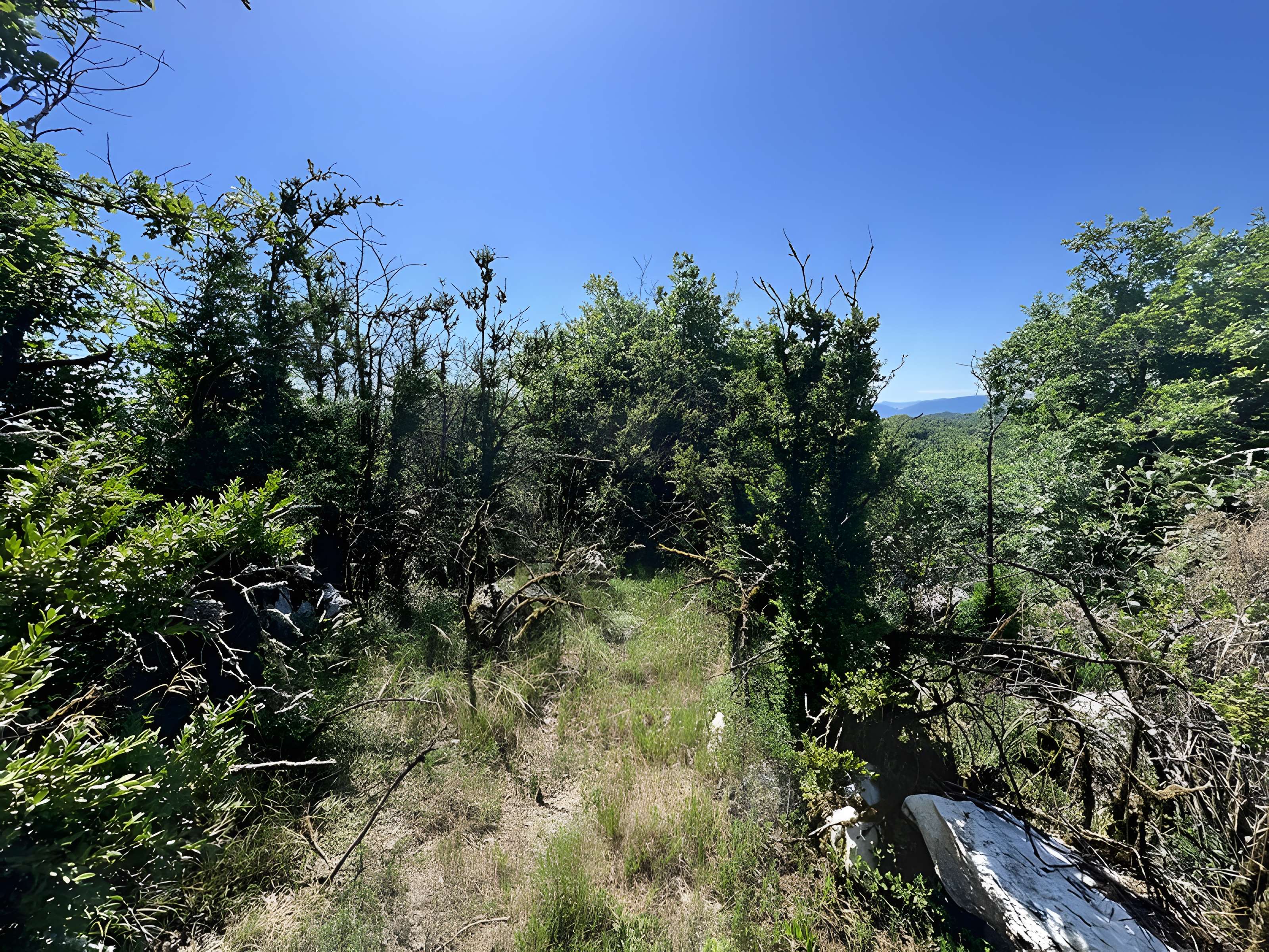 Camp préhistorique des Portes
