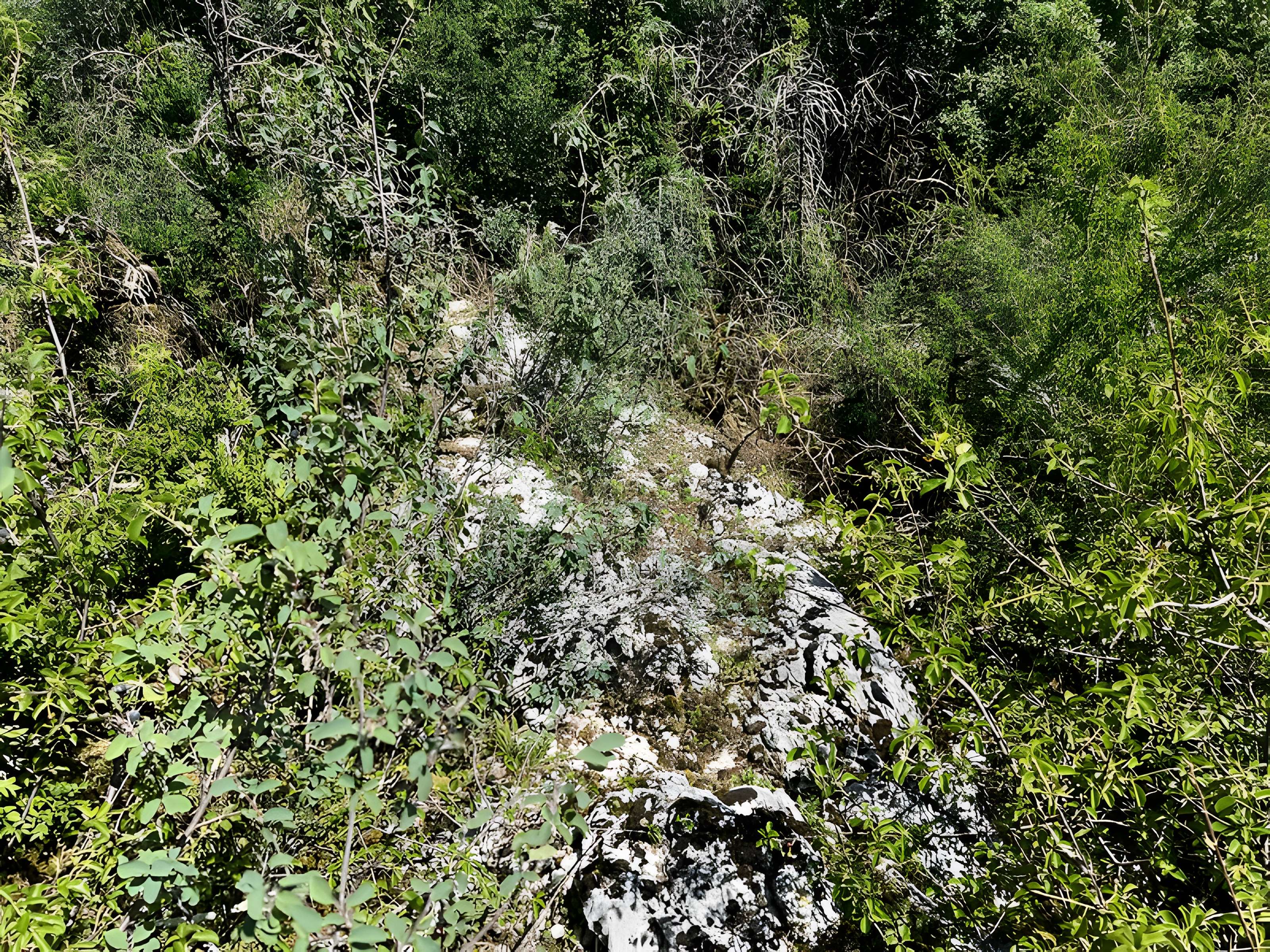 Camp préhistorique des Portes