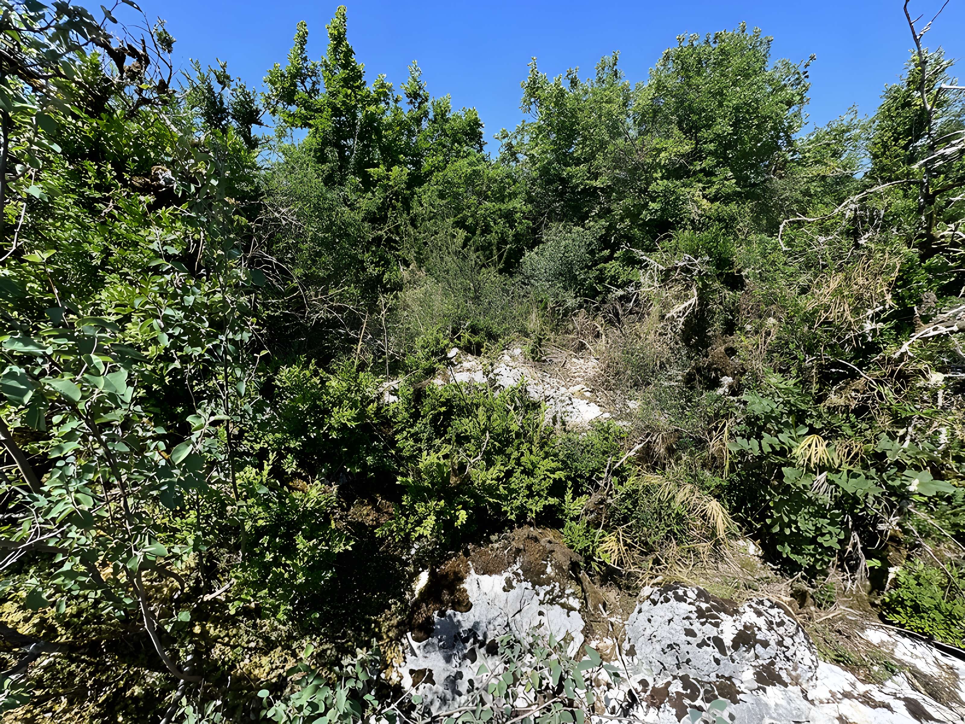 Camp préhistorique des Portes