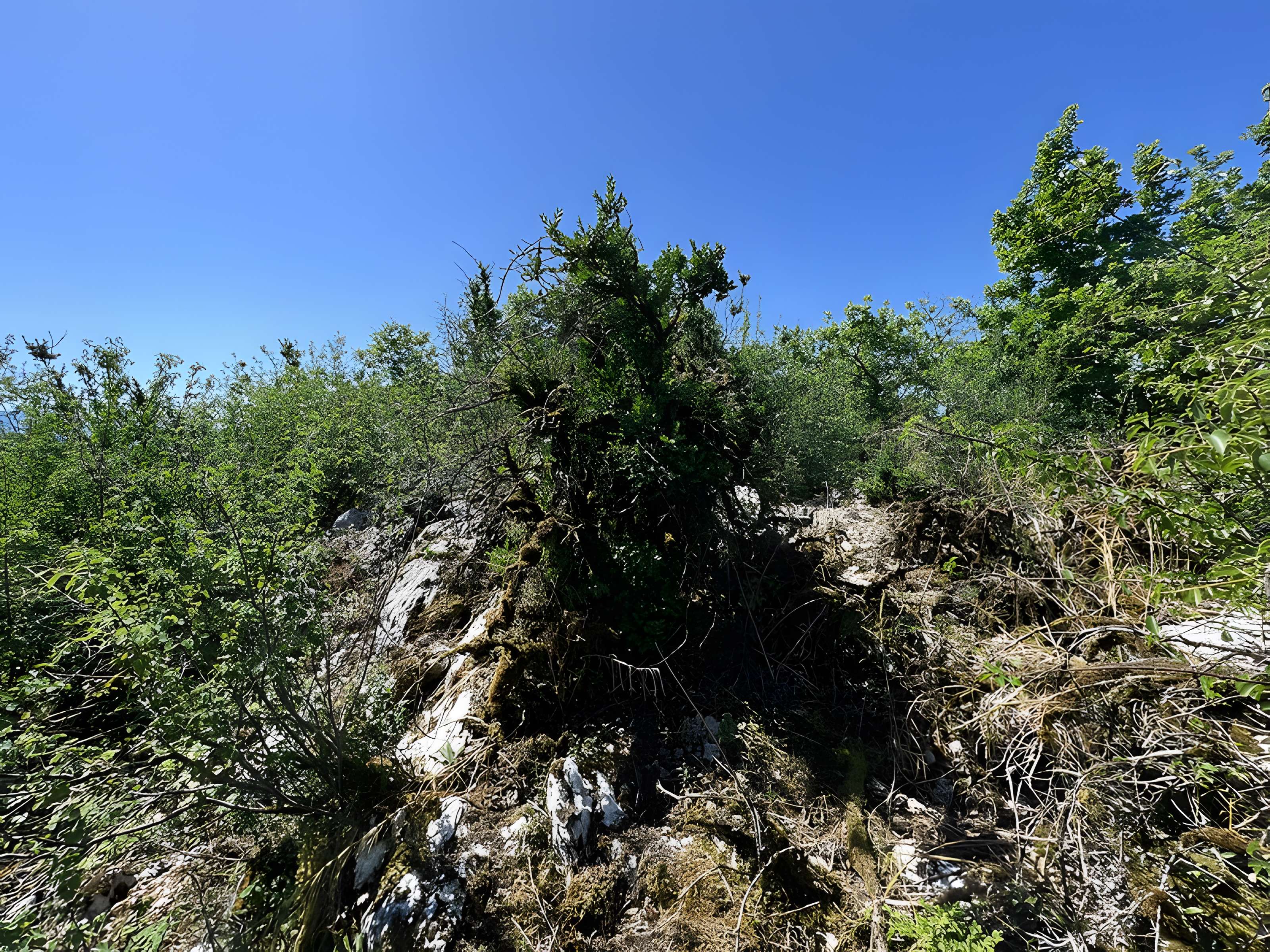 Camp préhistorique des Portes