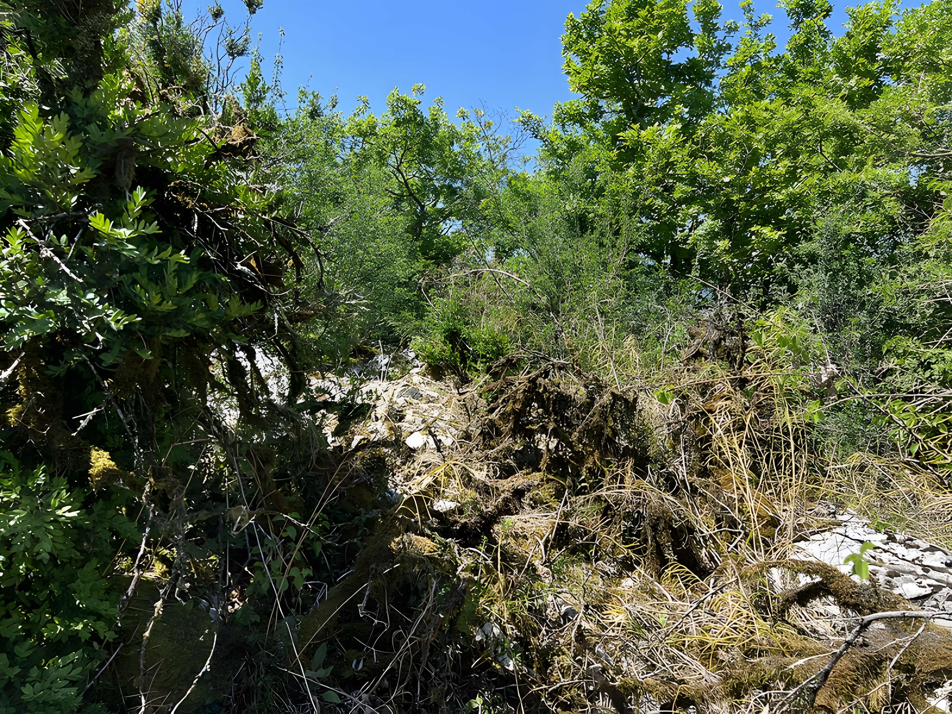 Camp préhistorique des Portes