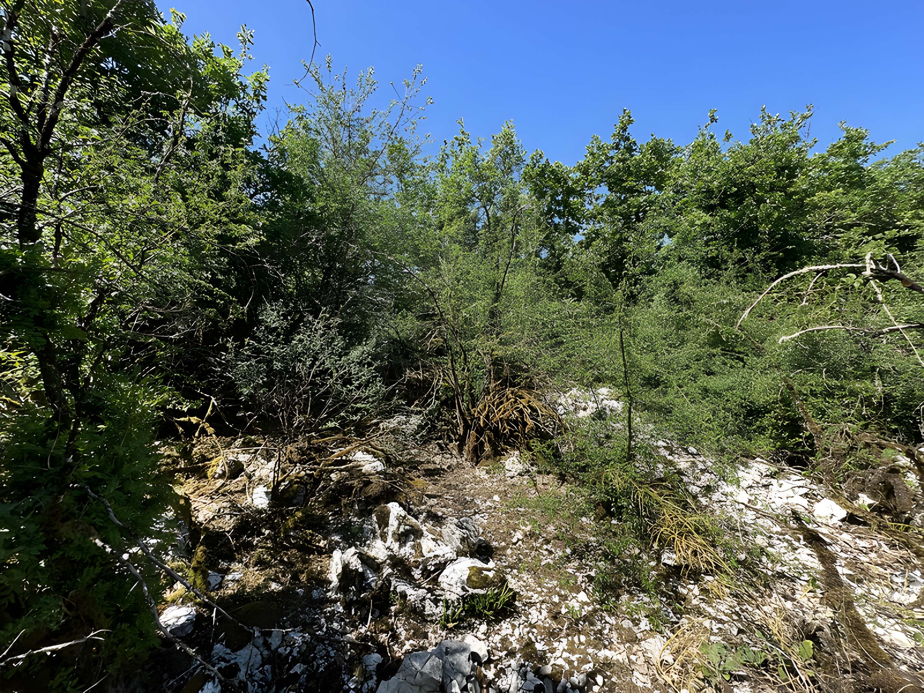 Camp préhistorique des Portes