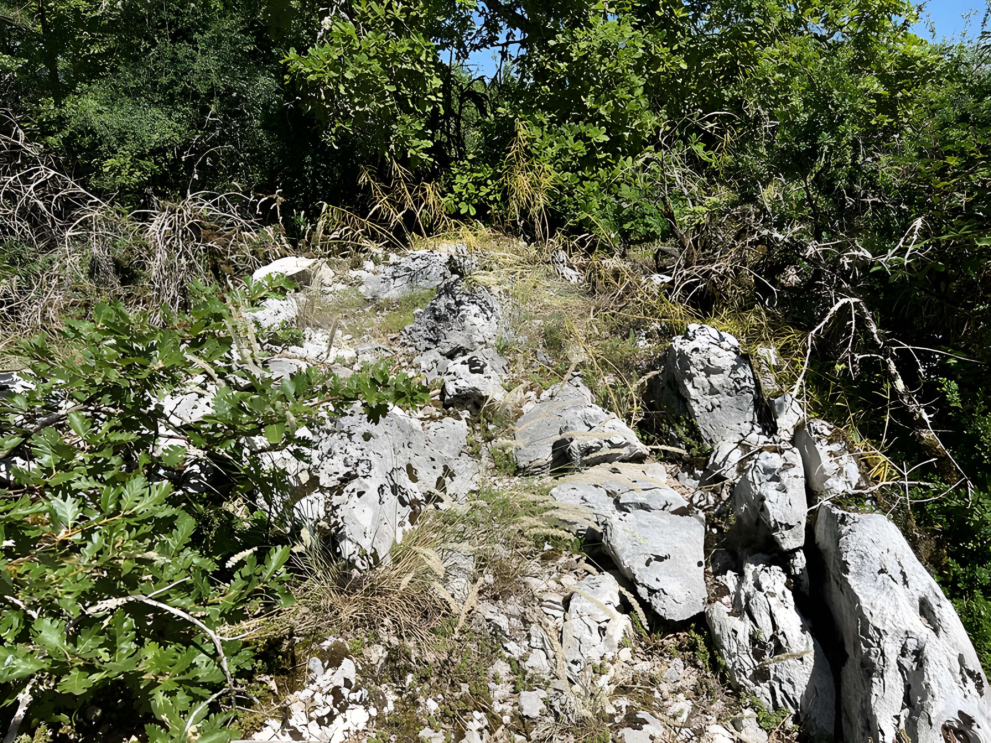 Camp préhistorique des Portes