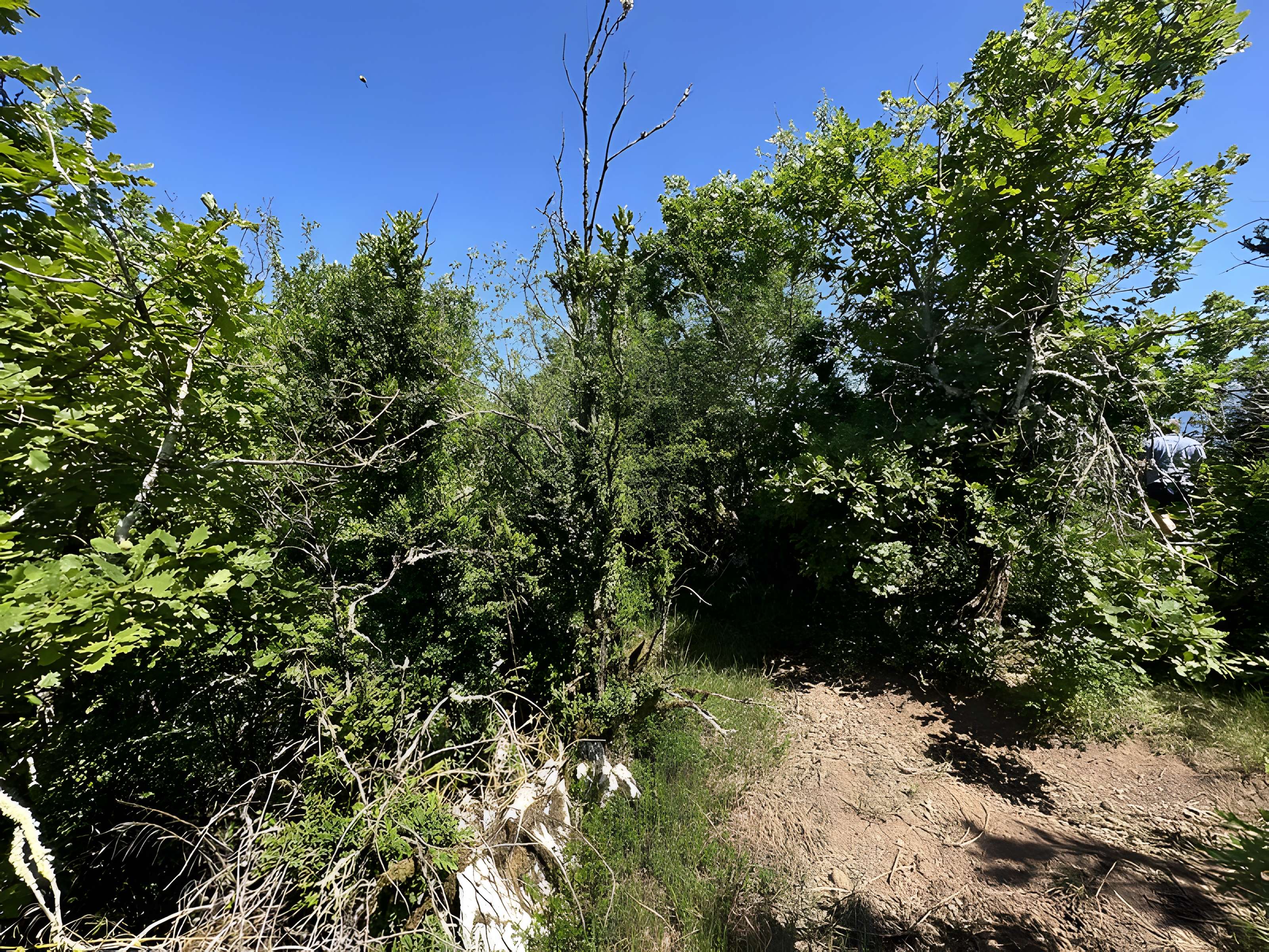 Camp préhistorique des Portes