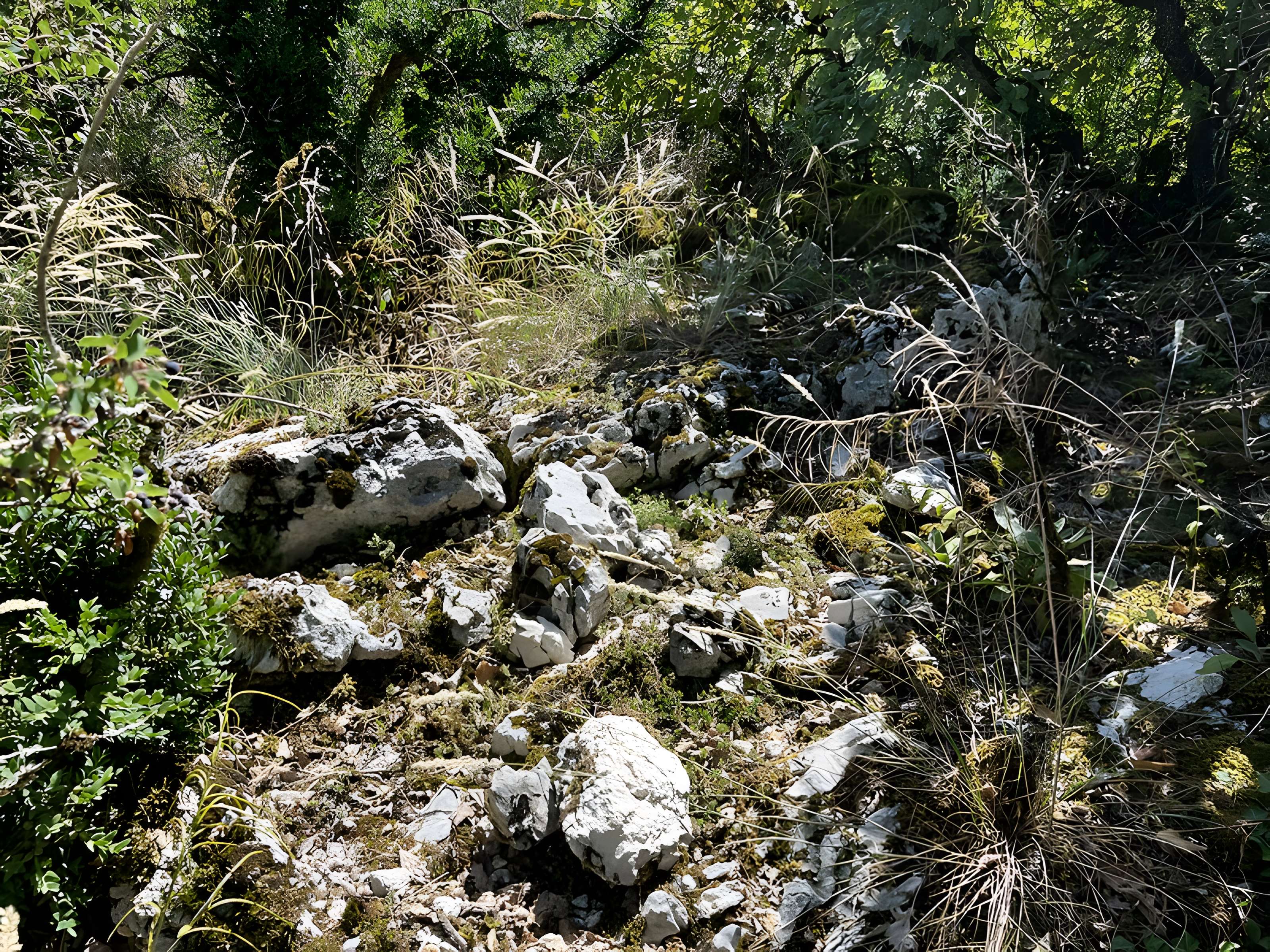 Camp préhistorique des Portes