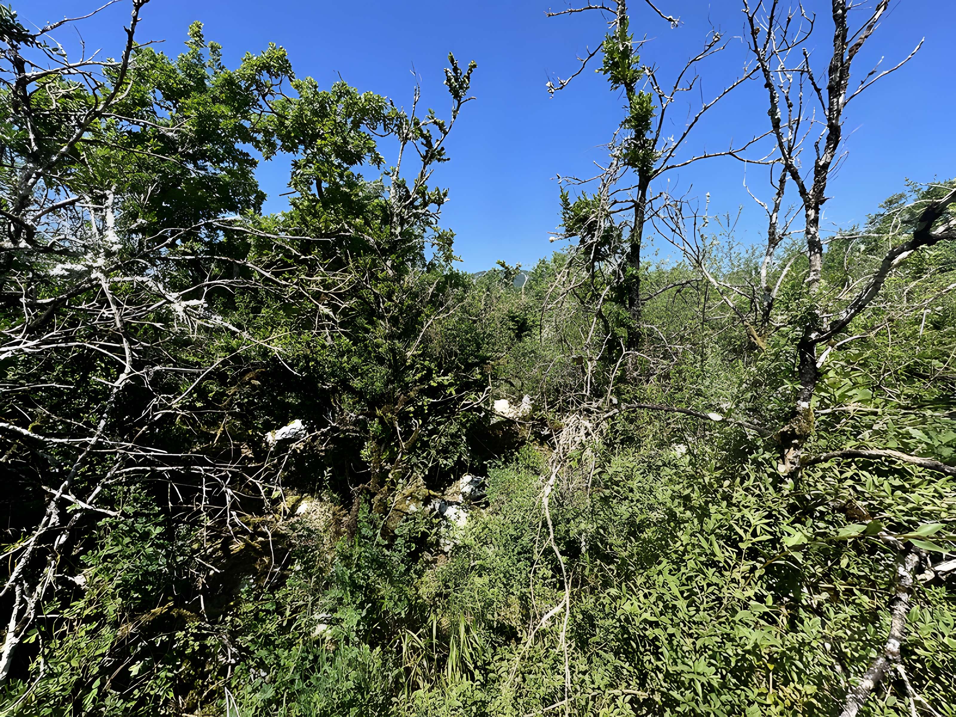 Camp préhistorique des Portes