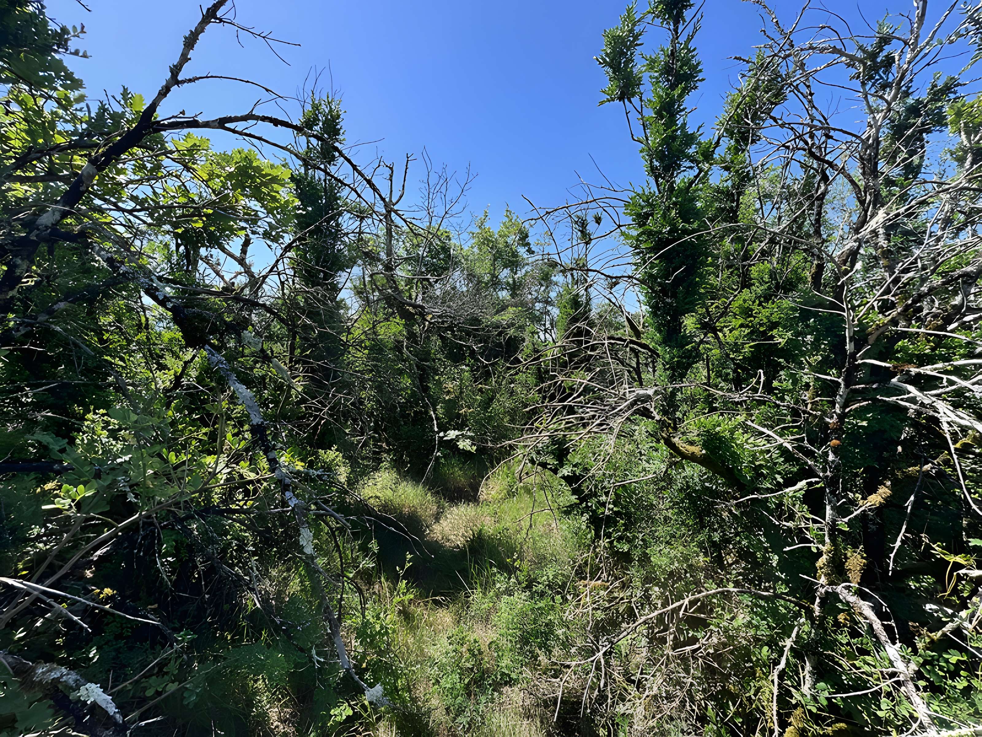 Camp préhistorique des Portes