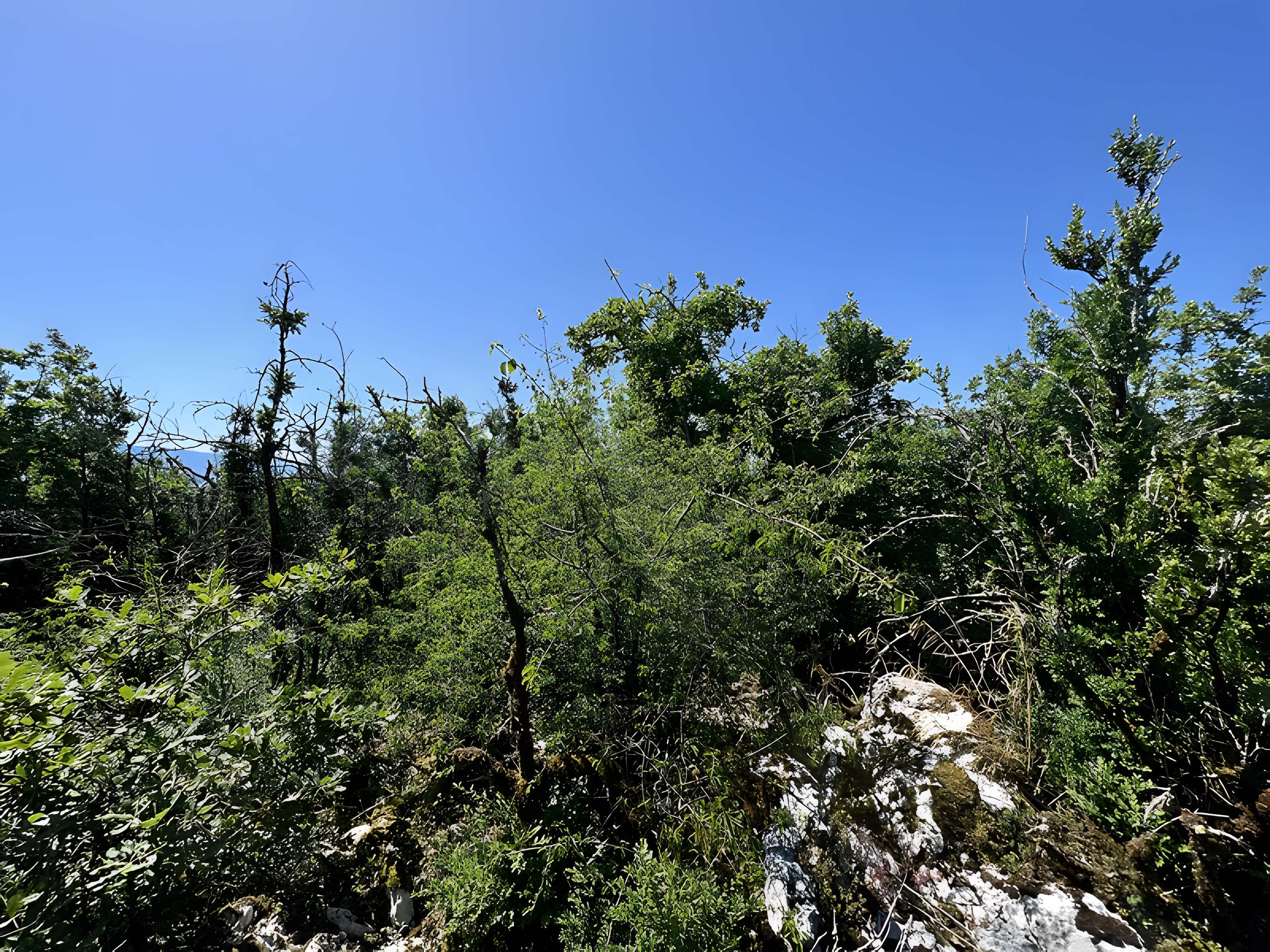 Camp préhistorique des Portes
