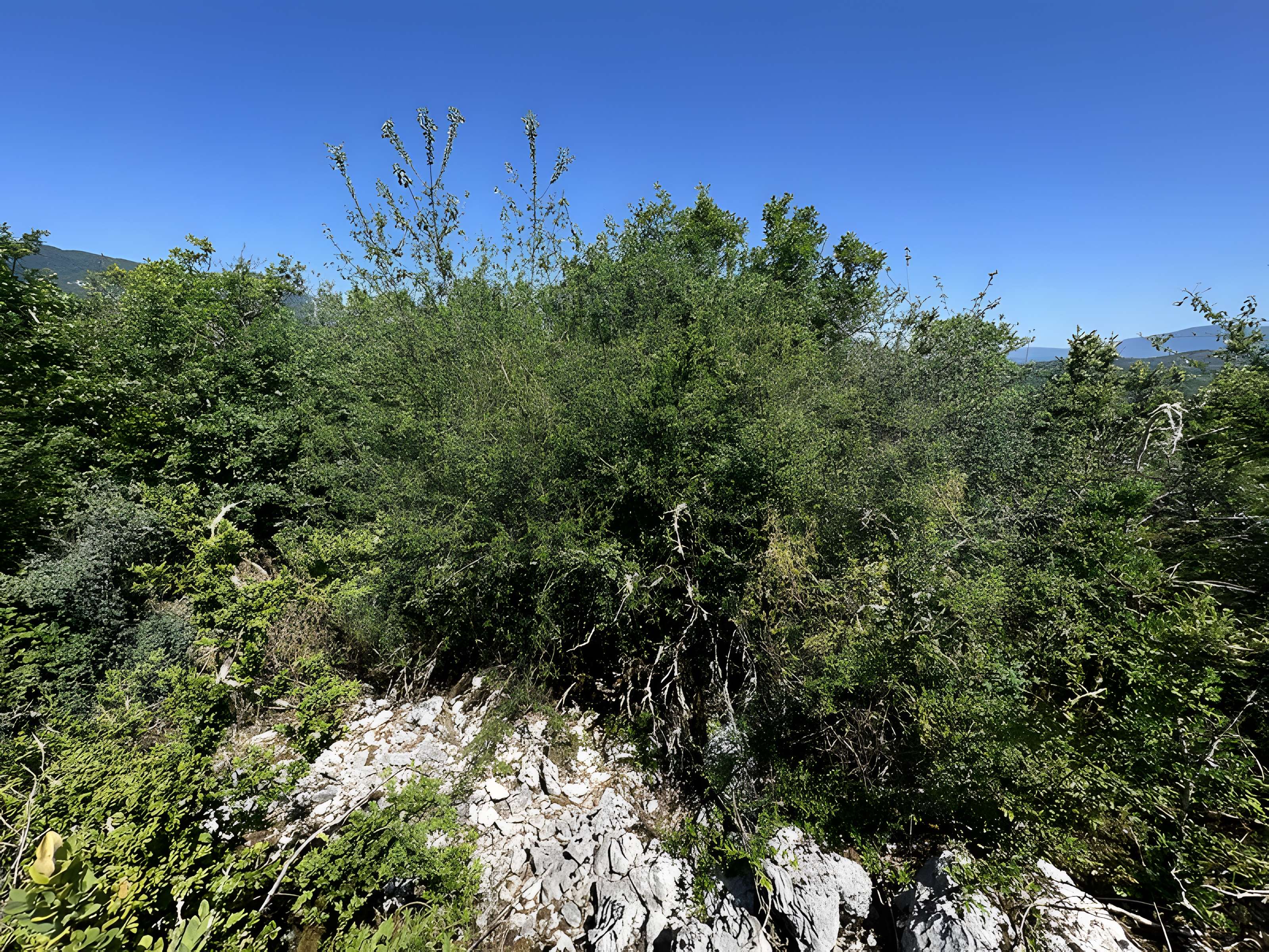 Camp préhistorique des Portes