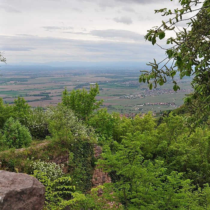 Photo de Ruines des châteaux de Weckmund et de Wahlenbourg