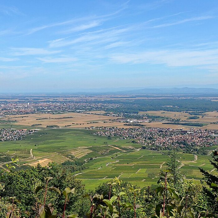 Photo de Ruines des châteaux de Weckmund et de Wahlenbourg