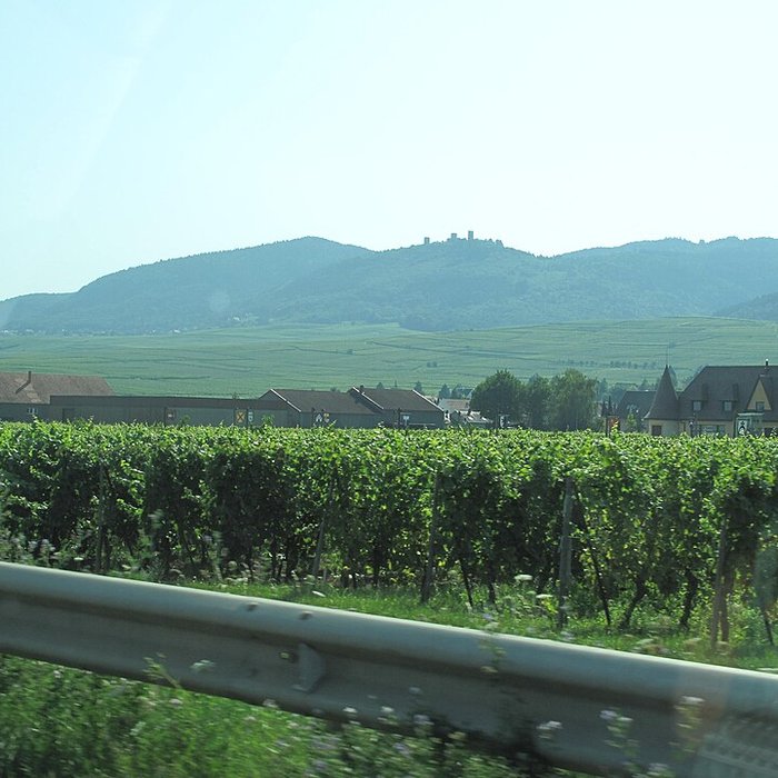 Photo de Ruines des châteaux de Weckmund et de Wahlenbourg