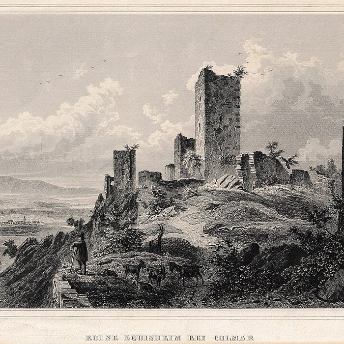 Photo de Ruines des châteaux de Weckmund et de Wahlenbourg