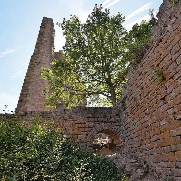 Photo de Ruines des châteaux de Weckmund et de Wahlenbourg