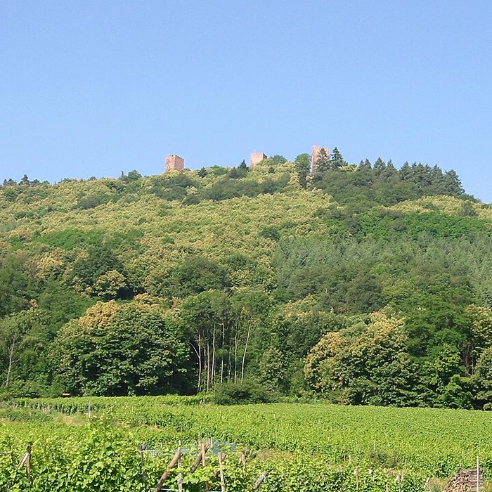Photo de Ruines des châteaux de Weckmund et de Wahlenbourg