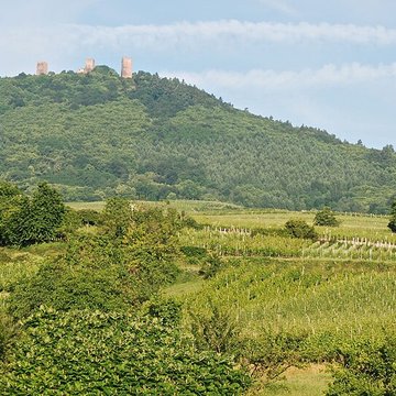Ruines des châteaux de Weckmund et de Wahlenbourg