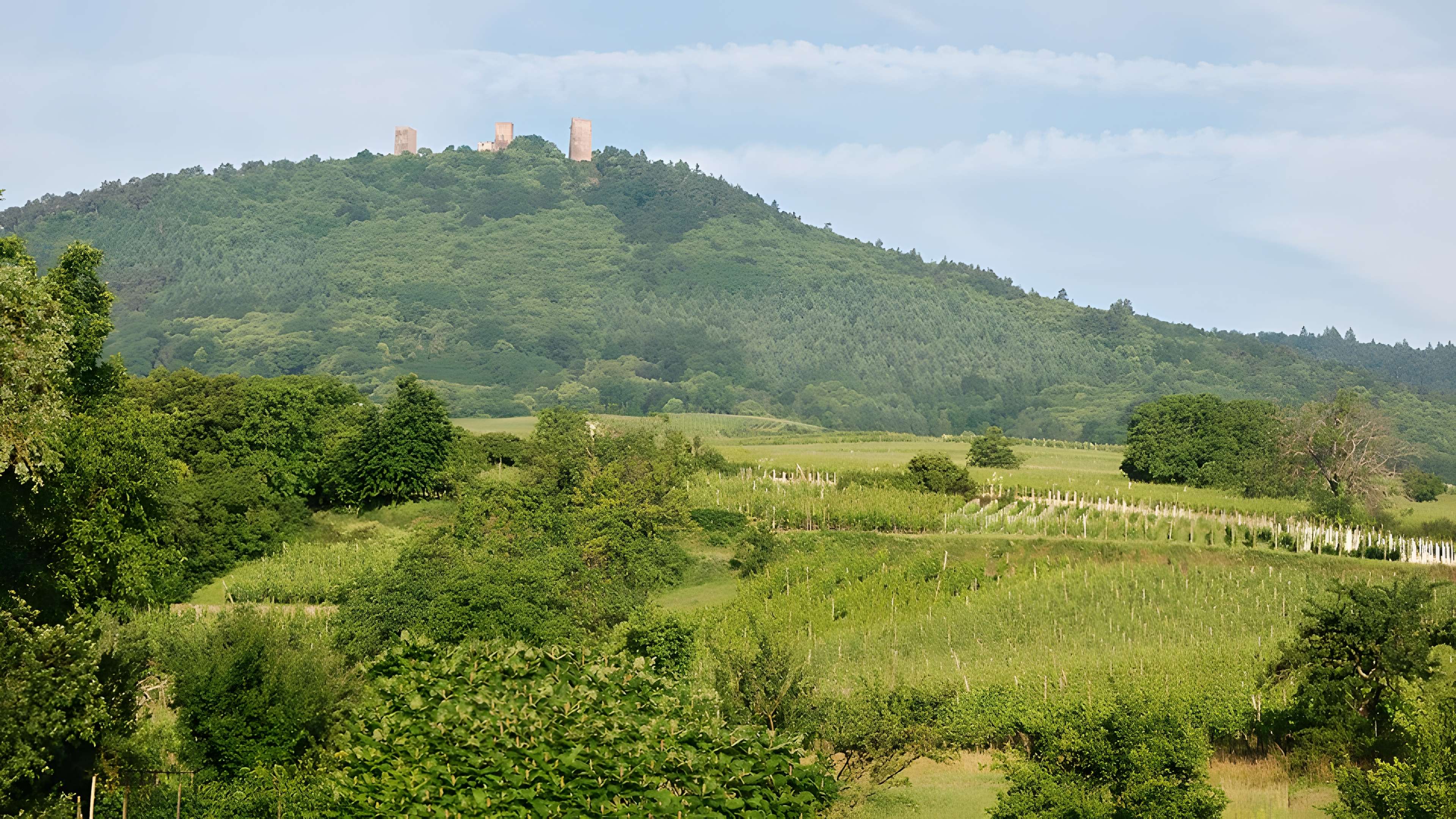 Ruines des châteaux de Weckmund et de Wahlenbourg