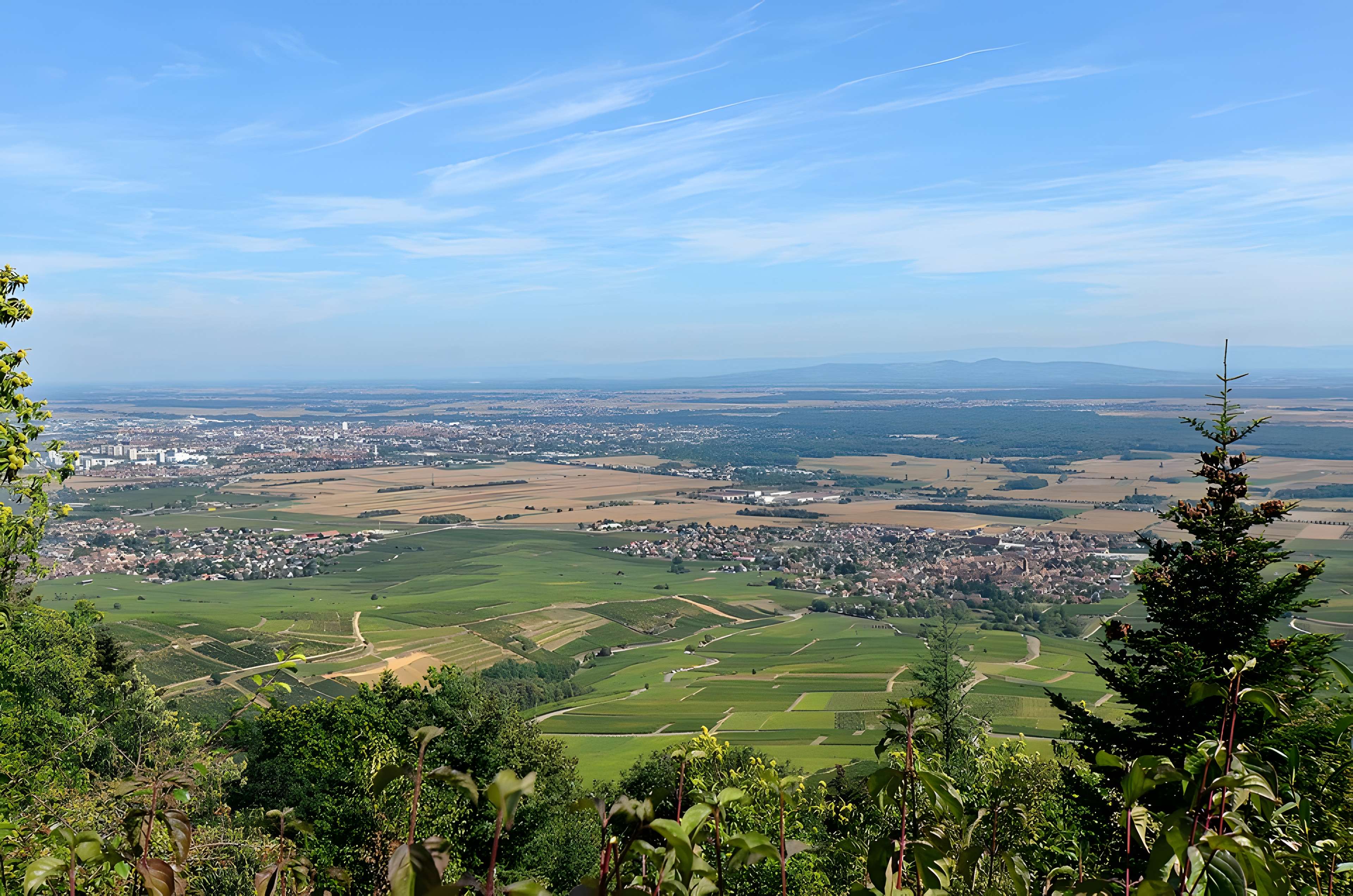 Ruines des châteaux de Weckmund et de Wahlenbourg