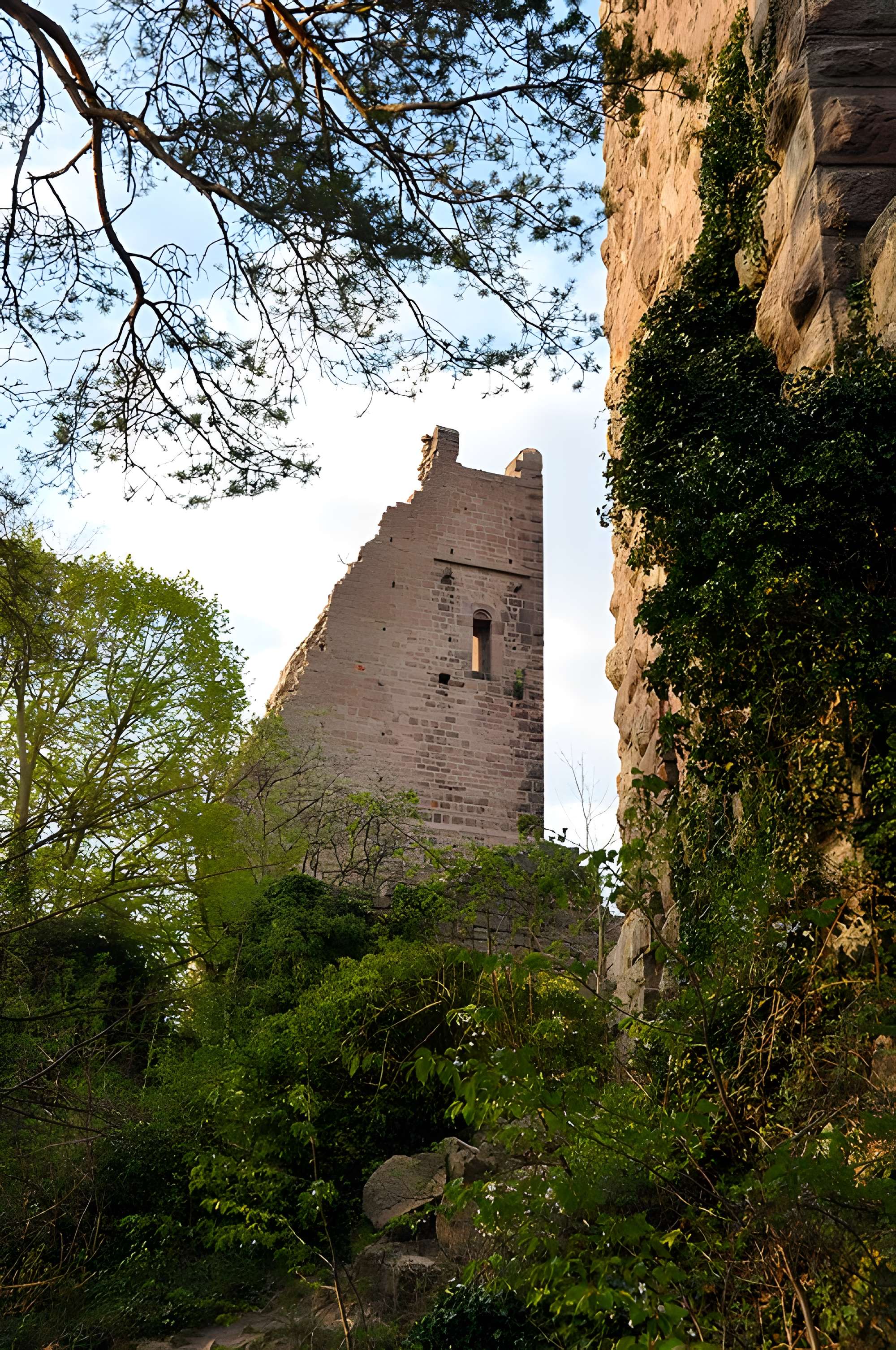 Ruines des châteaux de Weckmund et de Wahlenbourg