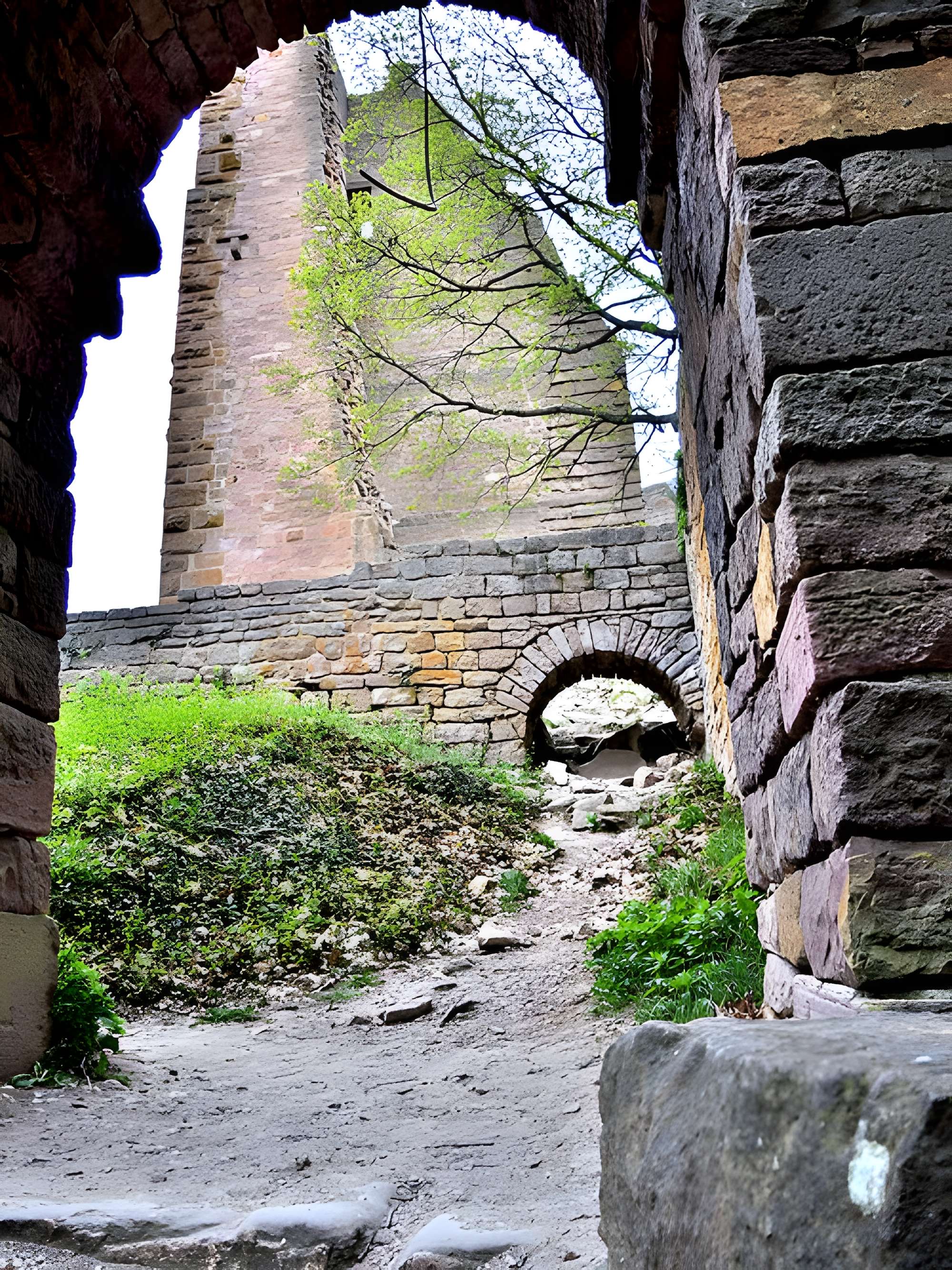 Ruines des châteaux de Weckmund et de Wahlenbourg