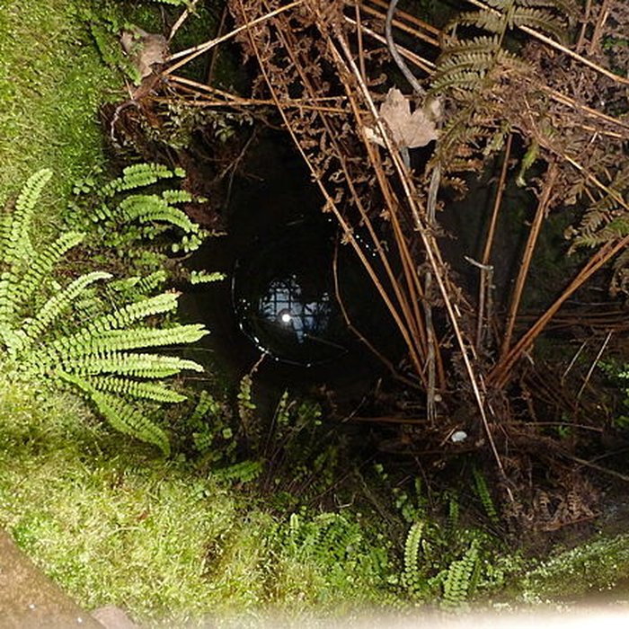 Photo de Château de Wangenbourg