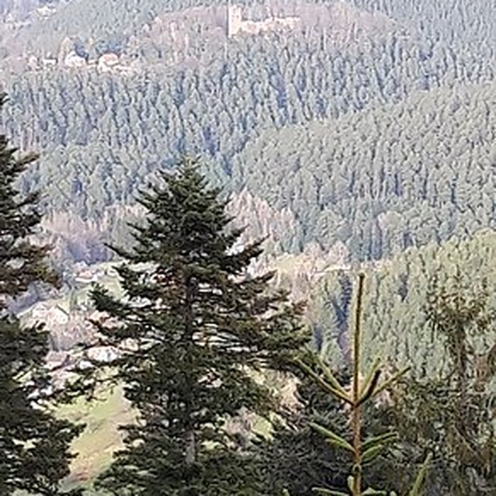 Photo de Château de Wangenbourg