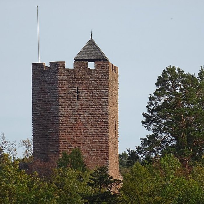Photo de Château de Wangenbourg