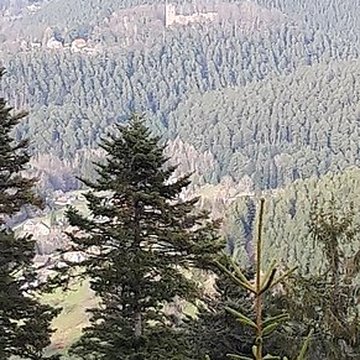 Château de Wangenbourg